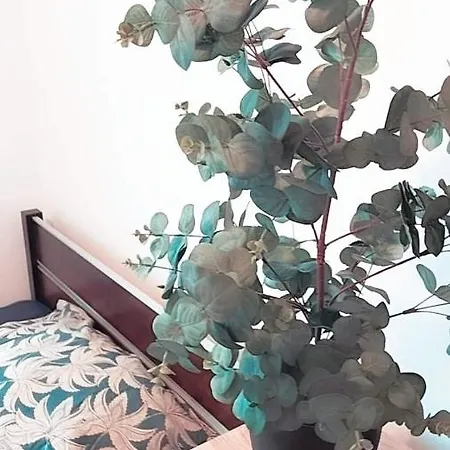 Apartman Ogrody/jezyce Poznań