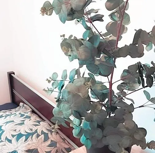 Apartman Ogrody/jezyce Poznań